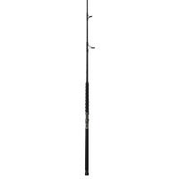 Phenix Axis Spinning Rod